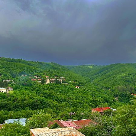 Hotel Vim In סינגאני מראה חיצוני תמונה